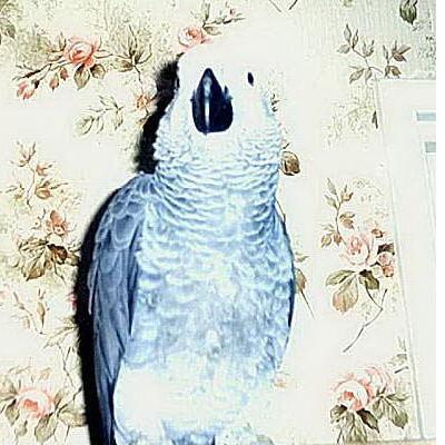 loisir 007.jpg