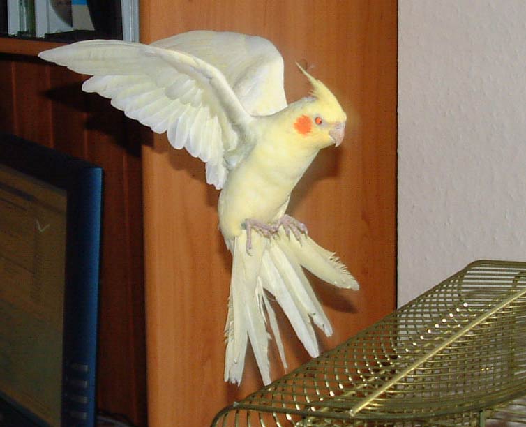Zoe3.jpg