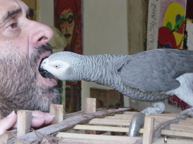 pÃ©pita2 001.jpg