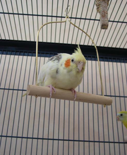 01-09-03 014 - copie.JPG