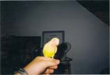 tiny02.jpg